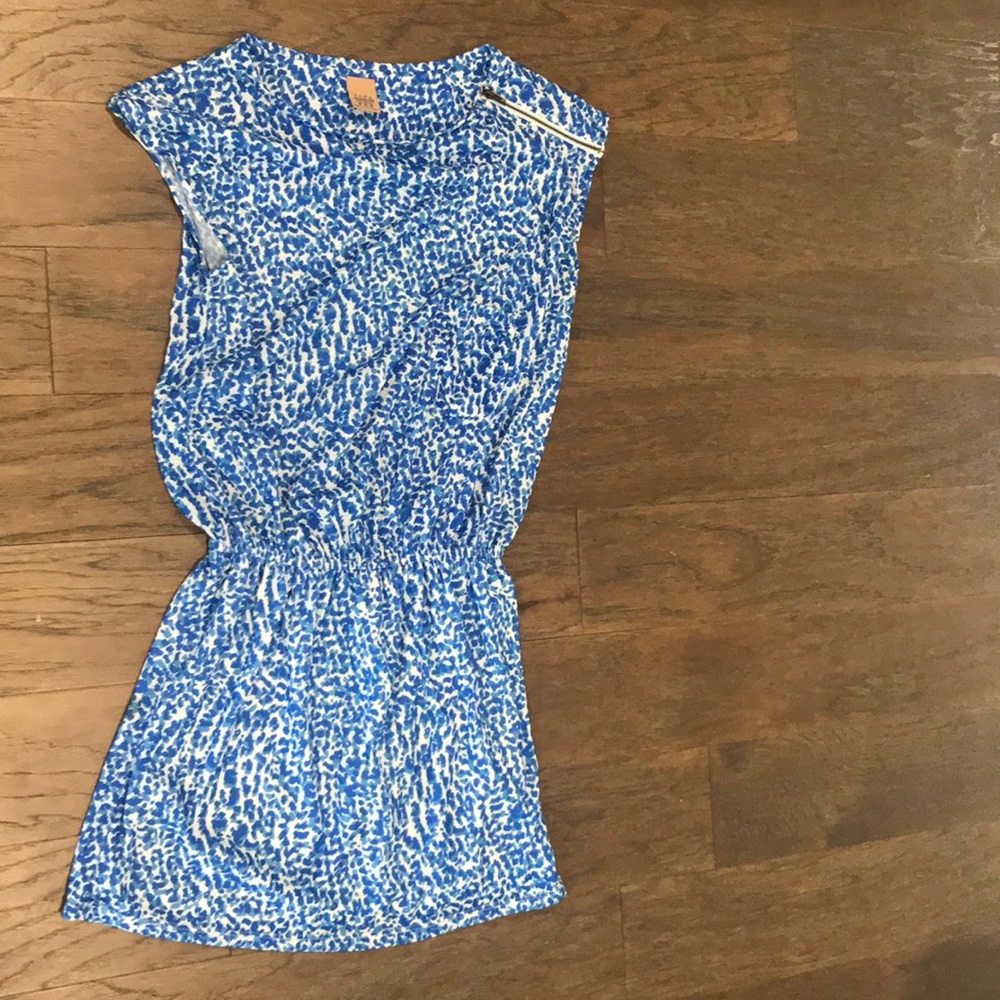 Zara | Blue and White Dress
